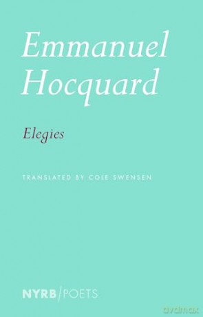 Elegies - Emmanuel Hocquard [KSIĄŻKA]