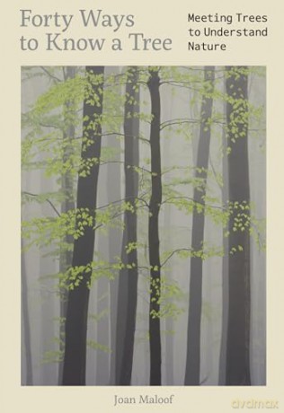 Forty Ways to Know a Tree - Joan Maloof [KSIĄŻKA]