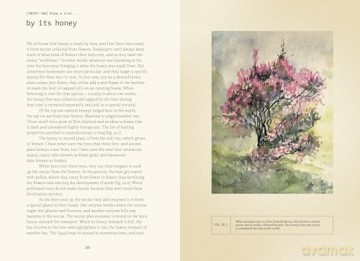 Forty Ways to Know a Tree - Joan Maloof [KSIĄŻKA]