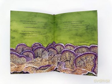 The Wonder of Mushrooms: The Mysterious World of Fungi - Maya Jewell Zeller [KSIĄŻKA]