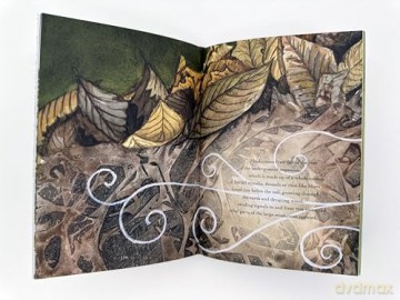 The Wonder of Mushrooms: The Mysterious World of Fungi - Maya Jewell Zeller [KSIĄŻKA]