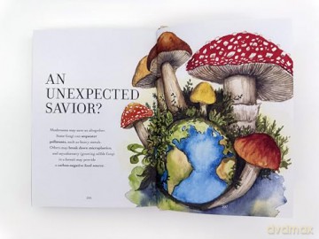 The Wonder of Mushrooms: The Mysterious World of Fungi - Maya Jewell Zeller [KSIĄŻKA]