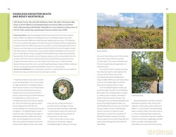 Where to Watch Wildlife in Britain: By Low-carbon Transport - Megan Shersby [KSIĄŻKA]