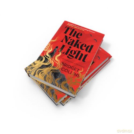 The Naked Light: The haunting new gothic novel from the Sunday Times bestselling author of THE BINDING and THE BETRAYALS - 'Bridget Collins at her best' (Emilia Hart) - Bridget Collins [KSIĄŻKA]