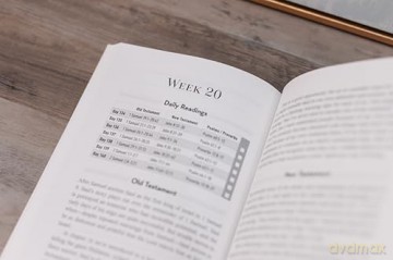 Daily Scripture Guidebook: A 52-Week Journey Through the Bible - Tim Wildsmith [KSIĄŻKA]