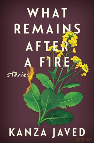 What Remains After a Fire: Stories - Kanza Javed [KSIĄŻKA]