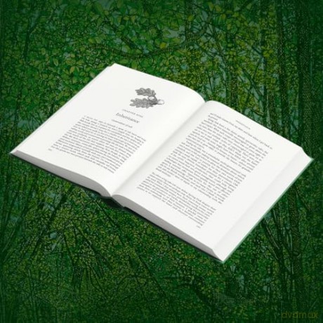 Ancient: Reviving the Woods That Made Britain - Luke Barley [KSIĄŻKA]