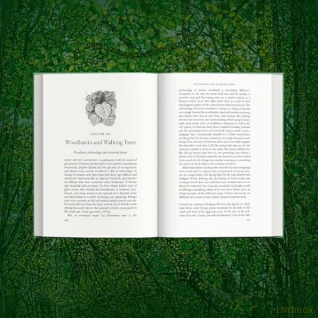 Ancient: Reviving the Woods That Made Britain - Luke Barley [KSIĄŻKA]