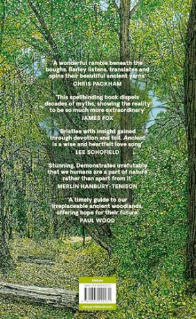 Ancient: Reviving the Woods That Made Britain - Luke Barley [KSIĄŻKA]