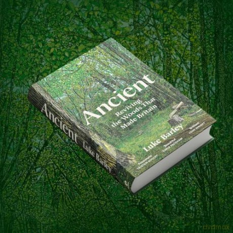 Ancient: Reviving the Woods That Made Britain - Luke Barley [KSIĄŻKA]