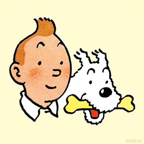 Die Schwarze Insel (Tim Und Struppi) - Herge [KSIĄŻKA]