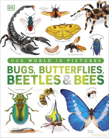Our World in Pictures Bugs, Butterflies, Beetles and Bees [KSIĄŻKA]