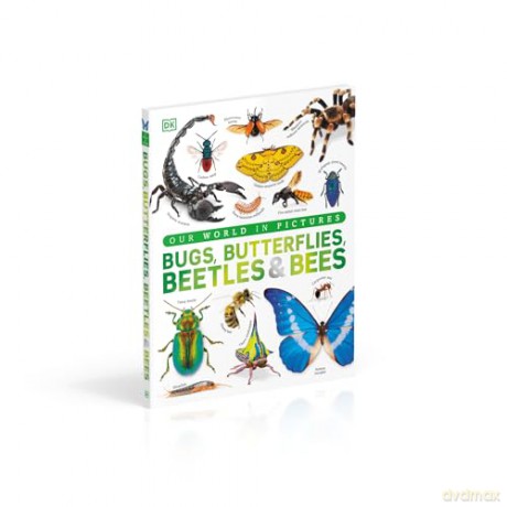 Our World in Pictures Bugs, Butterflies, Beetles and Bees [KSIĄŻKA]