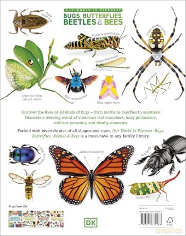 Our World in Pictures Bugs, Butterflies, Beetles and Bees [KSIĄŻKA]