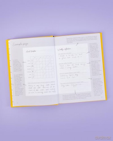 The Positive Planner - Ali McDowall [KSIĄŻKA]