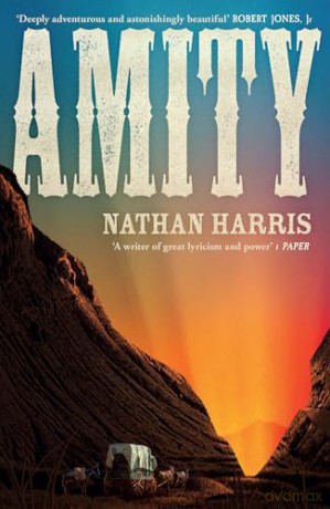 Amity: from the Booker-longlisted author of The Sweetness of Water - Nathan Harris [KSIĄŻKA]