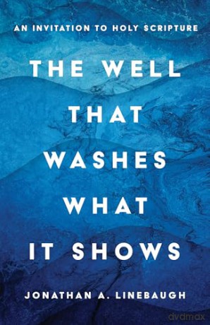 The Well That Washes What It Shows: An Invitation to Holy Scripture - Jonathan A Linebaugh [KSIĄŻKA]