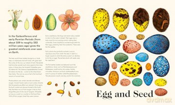 The Wonder of Life on Earth: A beautifully illustrated story of our planet, evolution and you, by the winner of the Royal Society Science Book Prize - Henry Gee [KSIĄŻKA]