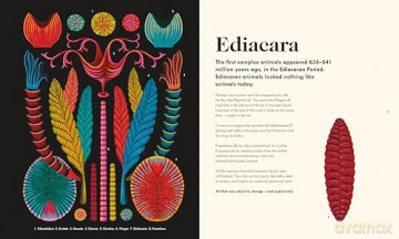 The Wonder of Life on Earth: A beautifully illustrated story of our planet, evolution and you, by the winner of the Royal Society Science Book Prize - Henry Gee [KSIĄŻKA]