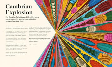 The Wonder of Life on Earth: A beautifully illustrated story of our planet, evolution and you, by the winner of the Royal Society Science Book Prize - Henry Gee [KSIĄŻKA]