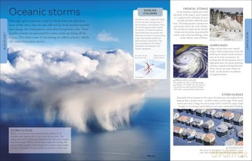 Ocean A Children's Encyclopedia: New Edition (DK Children's Visual Encyclopedia) [KSIĄŻKA]