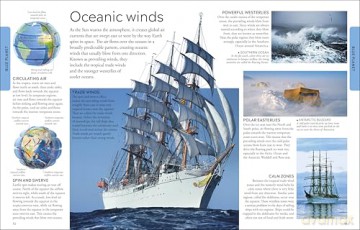 Ocean A Children's Encyclopedia: New Edition (DK Children's Visual Encyclopedia) [KSIĄŻKA]