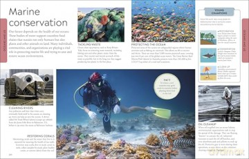 Ocean A Children's Encyclopedia: New Edition (DK Children's Visual Encyclopedia) [KSIĄŻKA]