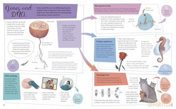 Visual Science Encyclopedia: An Interactive Exploration of Chemistry, Biology and Physics - Anna Claybourne [KSIĄŻKA]