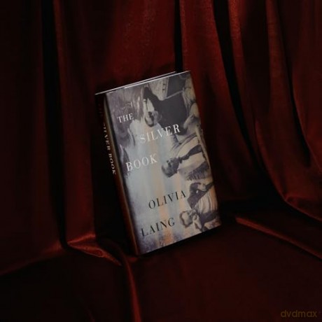 The Silver Book: The glittering new queer love story and noirish thriller from the Sunday Times bestselling author - Olivia Laing [KSIĄŻKA]