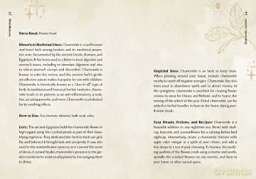 Wild Medicine: An Illustrated Guide to the Magick of Herbs - Shelby Bundy [KSIĄŻKA]