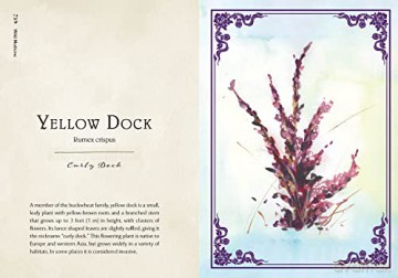 Wild Medicine: An Illustrated Guide to the Magick of Herbs - Shelby Bundy [KSIĄŻKA]