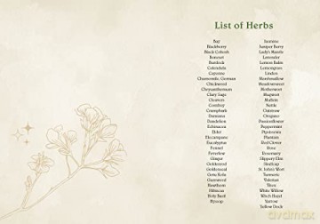 Wild Medicine: An Illustrated Guide to the Magick of Herbs - Shelby Bundy [KSIĄŻKA]