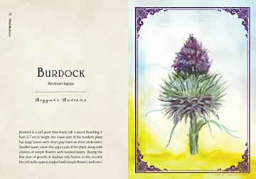 Wild Medicine: An Illustrated Guide to the Magick of Herbs - Shelby Bundy [KSIĄŻKA]