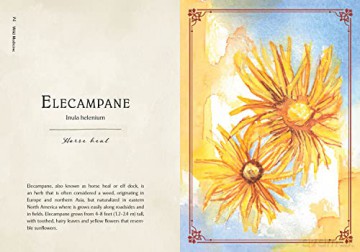 Wild Medicine: An Illustrated Guide to the Magick of Herbs - Shelby Bundy [KSIĄŻKA]