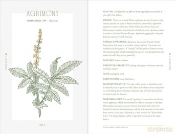The Complete Folk Herbal: An Illustrated Guide to Natural Remedies and Everyday Healing - Rebecca Beyer [KSIĄŻKA]