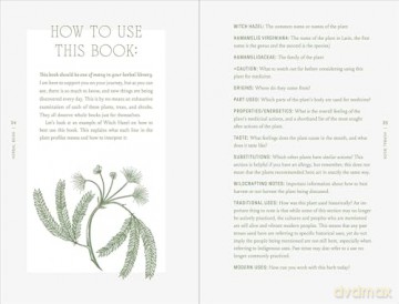 The Complete Folk Herbal: An Illustrated Guide to Natural Remedies and Everyday Healing - Rebecca Beyer [KSIĄŻKA]
