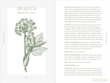The Complete Folk Herbal: An Illustrated Guide to Natural Remedies and Everyday Healing - Rebecca Beyer [KSIĄŻKA]