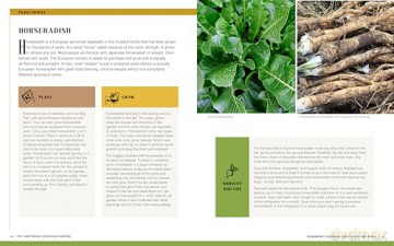 The Continuous Vegetable Garden: Create a Perpetual Food Garden that Sows and Grows Itself - Charlie Nardozzi [KSIĄŻKA]