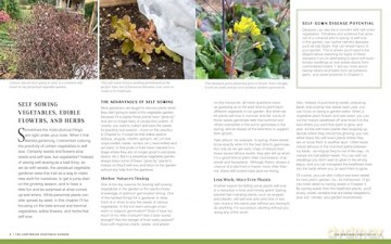 The Continuous Vegetable Garden: Create a Perpetual Food Garden that Sows and Grows Itself - Charlie Nardozzi [KSIĄŻKA]