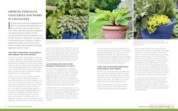 The Continuous Vegetable Garden: Create a Perpetual Food Garden that Sows and Grows Itself - Charlie Nardozzi [KSIĄŻKA]