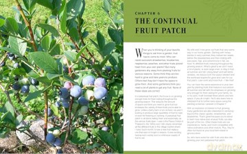 The Continuous Vegetable Garden: Create a Perpetual Food Garden that Sows and Grows Itself - Charlie Nardozzi [KSIĄŻKA]