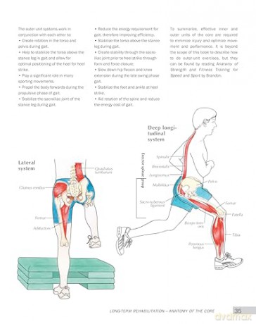 Anatomy of Sports Injuries (IMM Lifestyle Books) Identify, Treat, and Prevent Common Athletic Injuries with Step-by-Step Exercises and Full-Color Anatomical Illustrations - L Brandon [KSIĄŻKA]