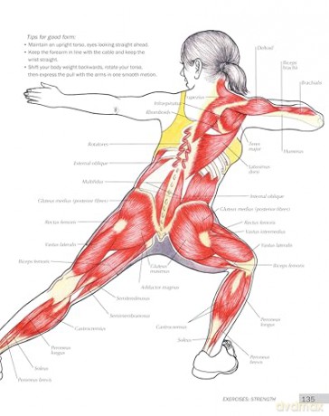 Anatomy of Sports Injuries (IMM Lifestyle Books) Identify, Treat, and Prevent Common Athletic Injuries with Step-by-Step Exercises and Full-Color Anatomical Illustrations - L Brandon [KSIĄŻKA]