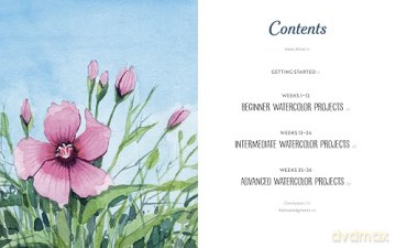 Wild Watercolor: Weekly Lessons and Techniques for Stunning Creations - Karen Elaine [KSIĄŻKA]