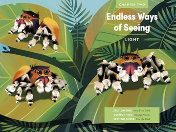 Immense World, An: How Animals Sense Earth's Amazing Secrets ((Young Readers Edition)) - Ed Yong [KSIĄŻKA]