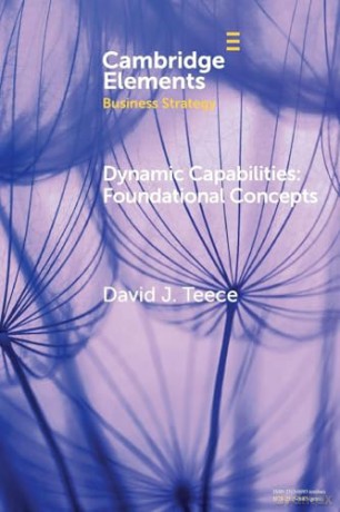 Dynamic Capabilities: Foundational Concepts (Elements in Business Strategy) - David J. Teece [KSIĄŻKA]