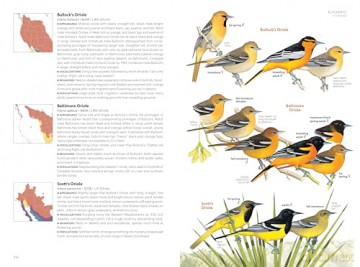 National Geographic Field Guide to the Birds of the United States and Canada-West, 2nd Edition - Ted Floyd [KSIĄŻKA]