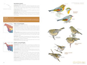 National Geographic Field Guide to the Birds of the United States and Canada-West, 2nd Edition - Ted Floyd [KSIĄŻKA]