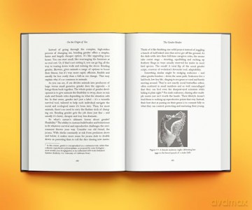 On the Origin of Sex: The Weird and Wonderful Science of How Our Planet is Populated - Lixing Sun [KSIĄŻKA]