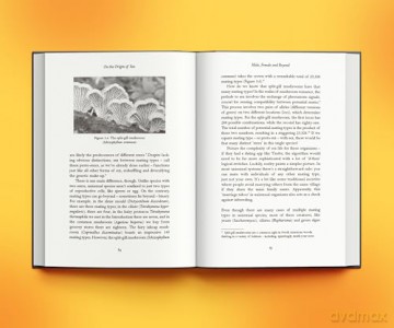On the Origin of Sex: The Weird and Wonderful Science of How Our Planet is Populated - Lixing Sun [KSIĄŻKA]